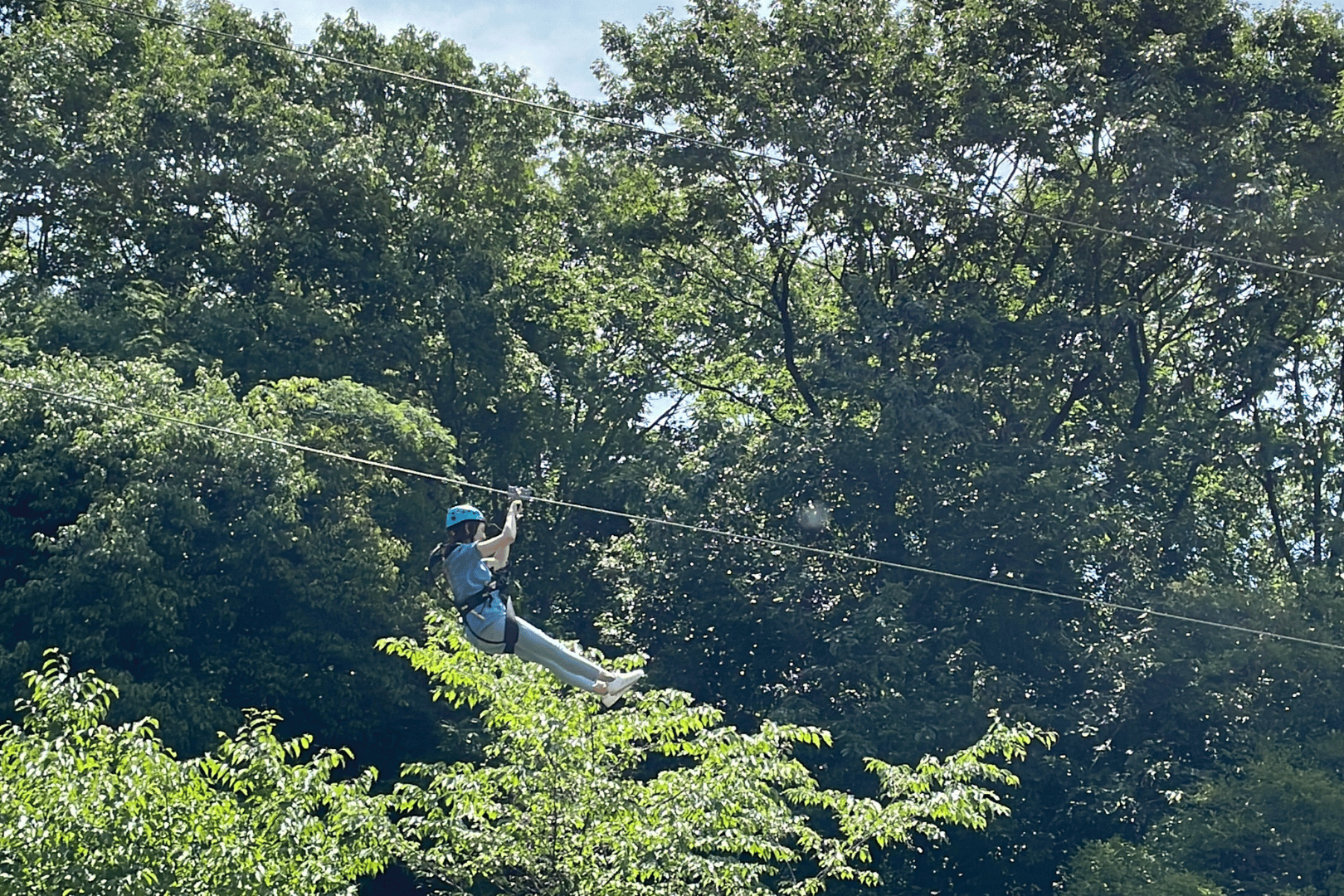 PANZAぎふ清流里山公園のジップライン　体験