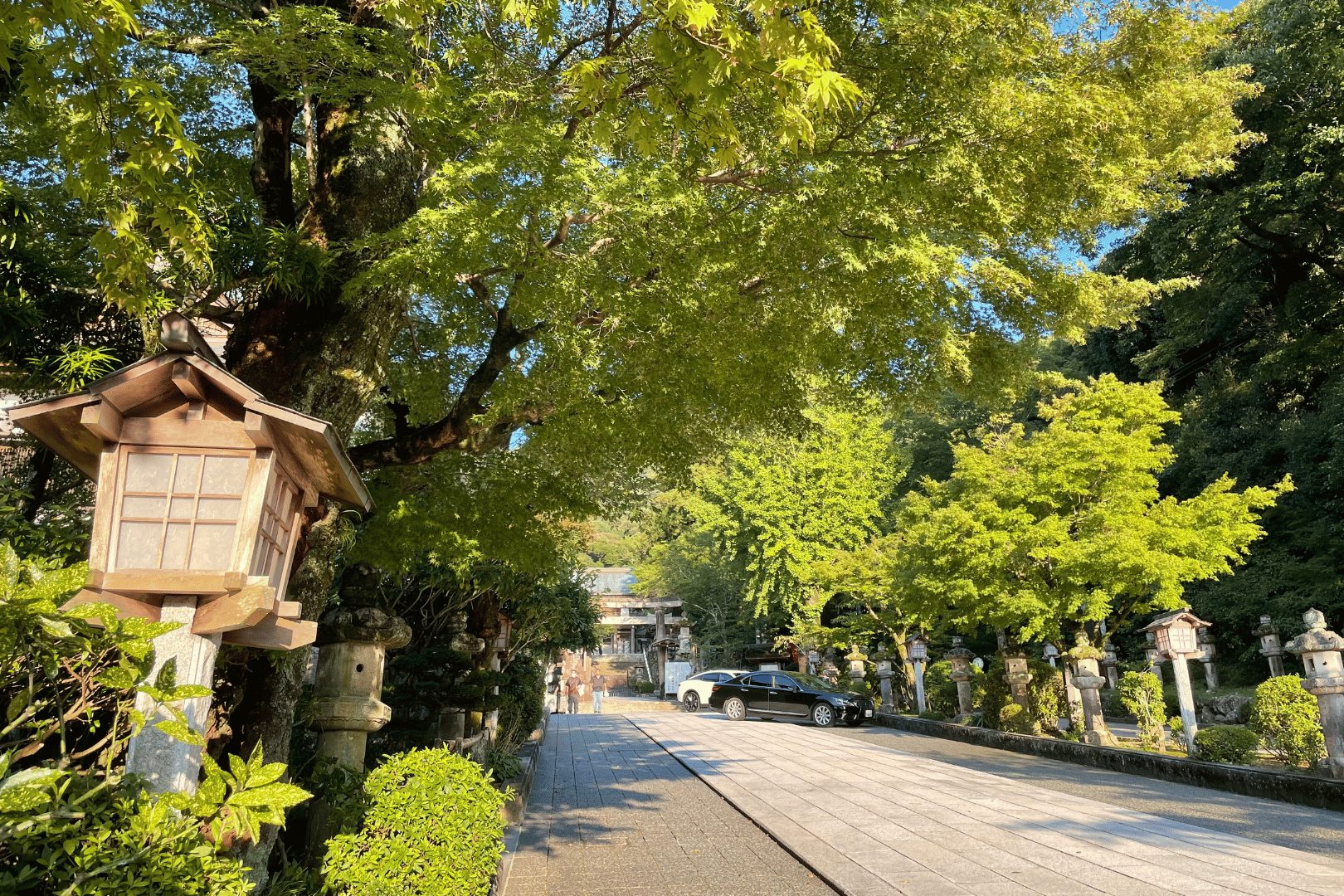 伊並波神社　参道