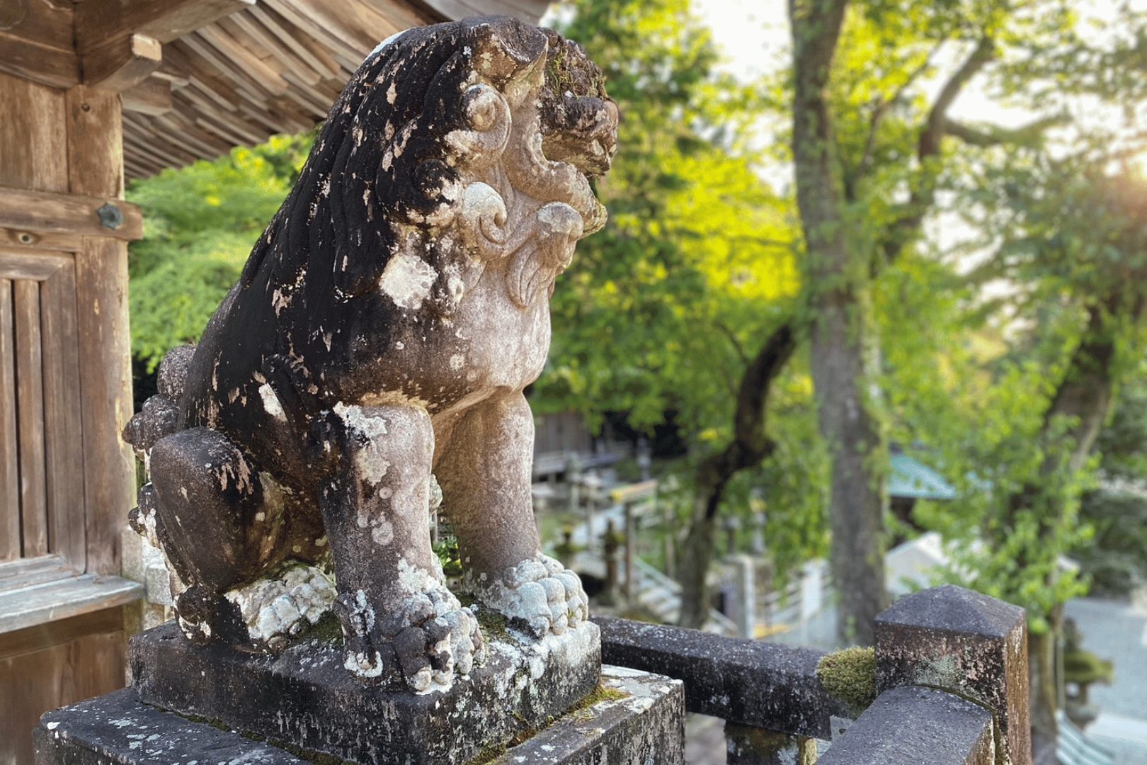 伊並波神社　こま犬